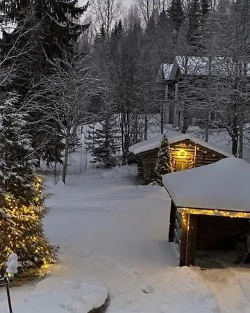 Aamurusko Holiday home Tahkovuori